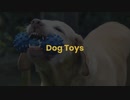 Dog Toys