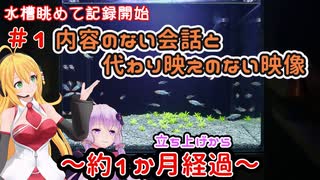 【ボイロアクアリウム】#1 水槽の映像残しの為に