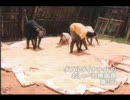 ダブルダイナマイトのおしゃべり映画館　第03回