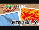 ポケモンたちのかくれんぼ【Newポケモンスナップ】#8