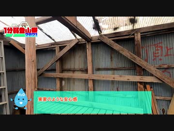 【1分弱登山祭2021】入道ヶ岳北尾根ルート