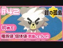 【ポケモン剣盾/DLC1鎧の孤島】ポケモン好きが、初めて種族値・個体値を意識し冒険！【実況】#42
