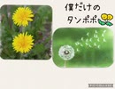 僕だけのタンポポ/feat.flower