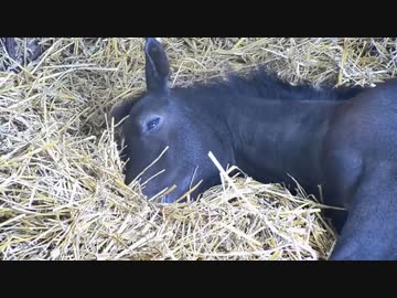 幼少期のくぅちゃん