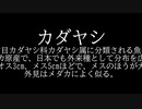 【ライブ】お前らのための「めだかのがっこう」【初見さん歓迎】