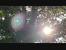 無条件の波動４０３　～愛の波動を感じて～