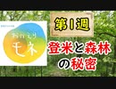 【おかえりモネ】森林セラピーと、登米の読みの秘密に迫ってみる！！