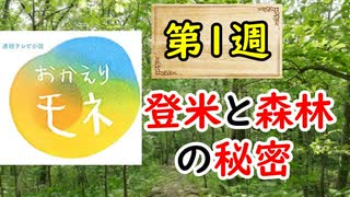 【おかえりモネ】森林セラピーと、登米の読みの秘密に迫ってみる！！