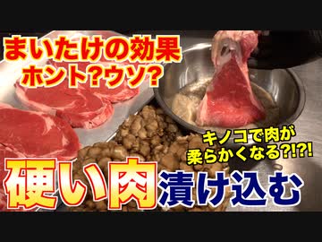【検証】硬い肉は舞茸で柔らかくなるのか？？