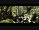 槇尾山 【ひとしずくの旅】Epi.01 リラクゼーション・ビデオ
