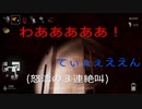 (絶叫注意)シャドーコリドーpart.2  てんけん、かのすけのポンコツホラゲ実況！