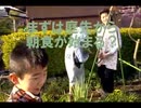 のまさんち「贅沢！貧乏？朝庭採れ野草のテンプラ！【シマいリスの朝ご飯】」