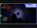 【ゆっくり実況】ムラいちがOuter Wilds Part32