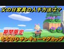 あつまれどうぶつの森　父の日家具入手方法は？　ちちのひサンキューマグカップ　【あつ森】