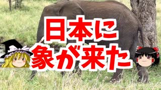 日本に象が来た【ゆっくり解説】