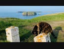 2021/06/01放送【60日目 北海道 厚岸郡 アゼチの岬 あずにゃんぽ（猫散歩）】北海道全市町村制覇するまで帰れまてん！　猫と車中泊の旅　日本縦断【旅猫あずき～保護猫から旅猫へ～】