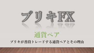 ブリキFX 【通貨ペア】