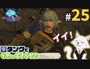 #25【FF14】タンクでイチからエオルゼア【斧術士/戦士】パッチ2.3エオルゼアの守護者 5