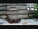 トレイルカメラで雀撮ってみた　20210602