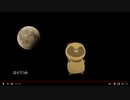 こだぬき　UTAUオリジナル曲　歌：春歌ナナ