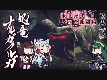 【MHRise】東北家式竜滅戦闘術 #22