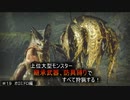 【モンハンライズ】継承武器、防具縛りで上位大型モンスター全部狩る！！　＃19