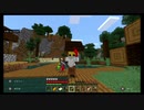 【単独実況】スイッチでマイクラ！ part9