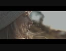 君の脈で踊りたかった 歌ってみた/Raich☆ライチ