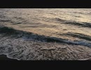 【ニコニ・コモンズ 素材紹介動画】　※フリー素材※　海　空　雲　自然　風景　景色　背景　幻想的　16　【音なし】#無料　#素材　#オススメ