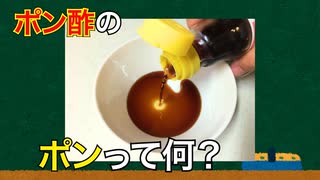 (ざっくり解説)ポン酢のポンって何？(雑学2個)