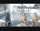 【ニーア・レプリカント】絶望か希望か..妹想いの少年の物語。Part.21【女性実況】