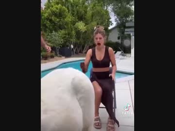 ホモと見る馬のケツの穴に腕を突っ込んでしまったおばさん