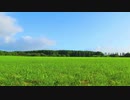【星のカービィSDX】ピーナツ平野（平地ステージ） アレンジ