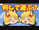 【ゆっくり茶番】まりさねこといっしょ。５【猫】