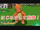 【Minecraft】はじめましてマイパートナー！　Part1【Pokehaan実況プレイ】