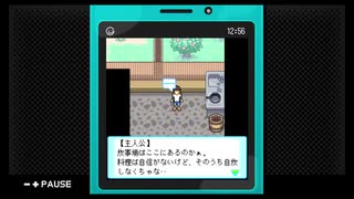 【ちゅら島暮らし】沖縄で田舎生活【実況】 二日目