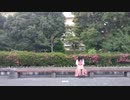 【おひむ】ディスコミュ星人　踊ってみた【誕生日】