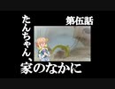 【ハムスターの飼育】第5話 たんちゃん、家のなかに