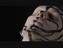 【ニコニコインディーズ】lion / mish 【歌モノ】【自作MV】