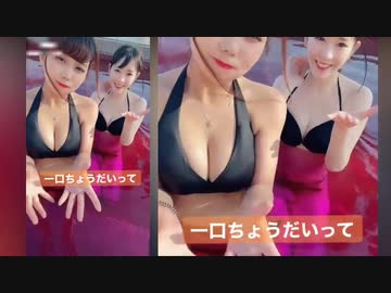 【Tik Tok】巨乳水着美女２人がプールで・・・