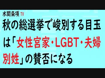 第348回『秋の総選挙で峻別する目玉は「女性宮家・LGBT・夫婦別姓」の賛否になる』【水間条項TV会員動画】