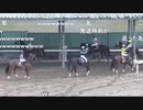 2021年　6月3日　さとし先輩　　馬券を買う→ゲートが故障する→ゲートの牽引車が故障する→馬券が外れる