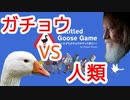 ガチョウ　VS　人類【いたずらガチョウがやって来た！】