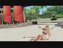 【DoaX3F】グラビアパラダイス マリー 060503