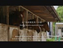 引退競走馬インタビュー #2『馬術競技馬への道』