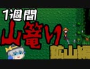 【StardewValley#4】さっくり進める鉱物集めとモーリスは許さん