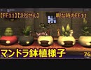 【FF11】【えびせん】　 暇な時のFF11　マンドラ鉢植様子　76