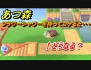あつまれどうぶつの森　フラワーシャワーを持ってコケると・・・　ジューンブライド家具　【あつ森】