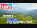 [サイエンスZERO] 尾瀬の大湿原 知られざる地下世界とは？水中ドローンが初潜入！ | NHK