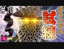 【MHWI】#10 ナ、ナンテオソロシイ試練ナンダー！(済)【ゆっくり実況】